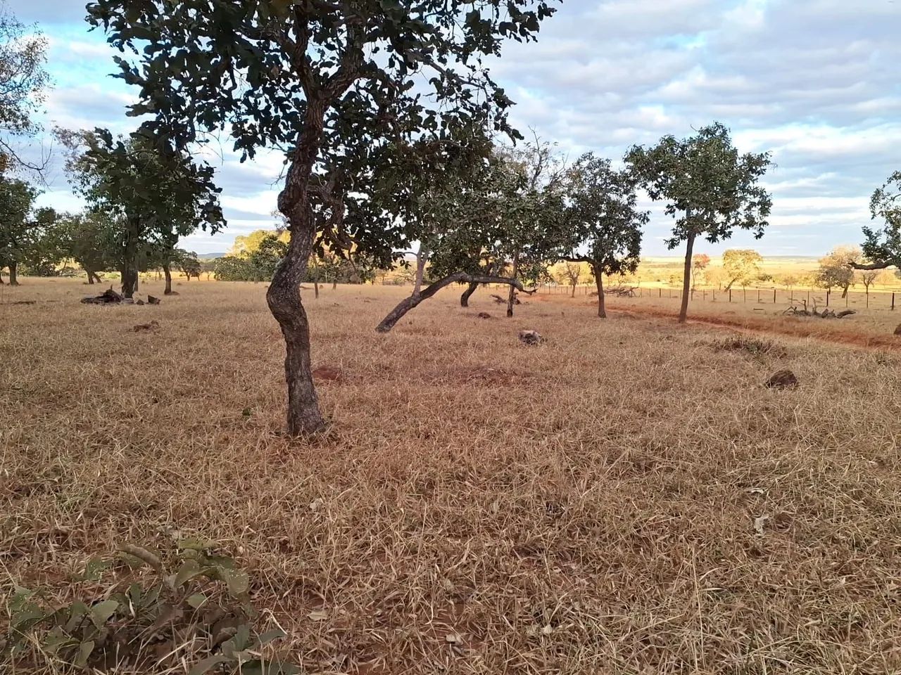 Chácara 2,5 km de Bela Vista de Goiás.  - Foto 7