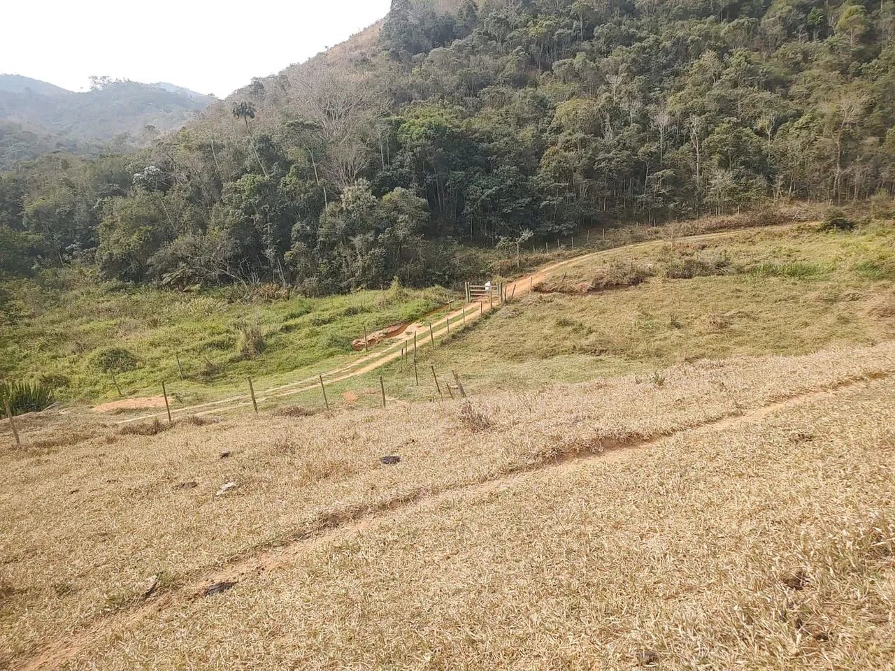 Grande oportunidade 139 hectares.