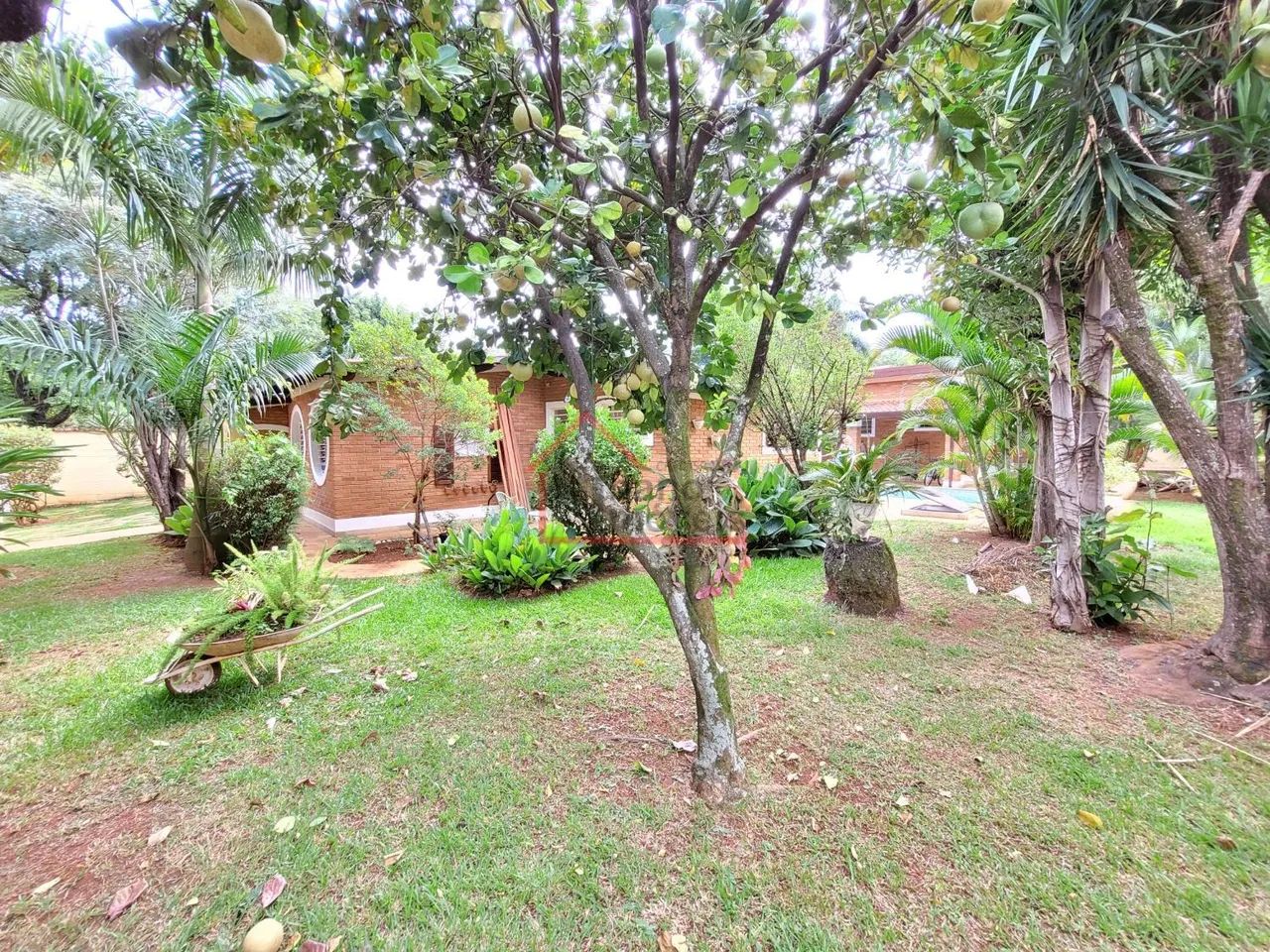 casa - Jardim Novo Barão Geraldo - Campinas - Foto 4