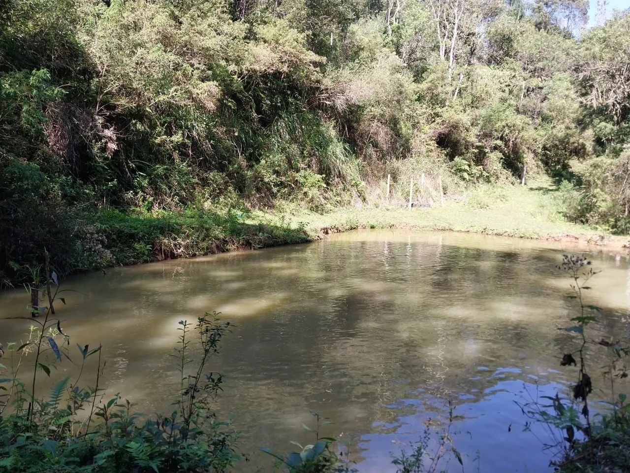 Vendo chácara formada com 2 casas - Foto 7