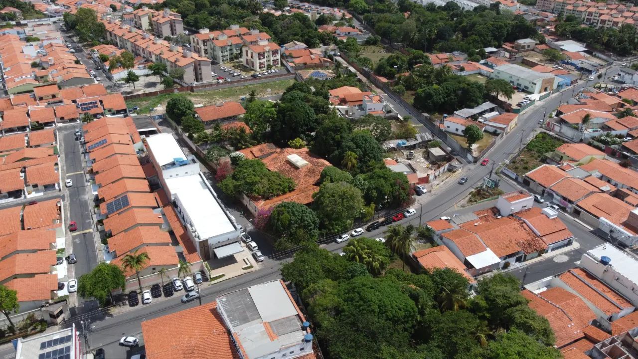 Refúgio de Luxo e Natureza na Cohama: Chácara/Sítio com 3.787m² e Casa de 550m² - Foto 4