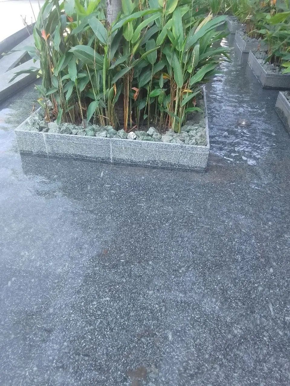 Manutenção de piscinas e espelhos d'água - Foto 2
