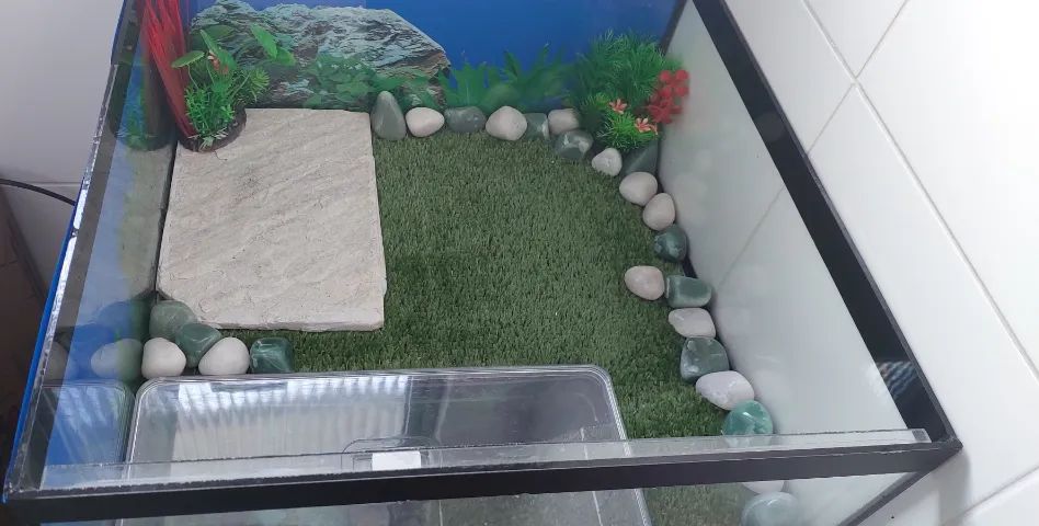 AQUATERRÁRIO COMPLETO - Foto 2