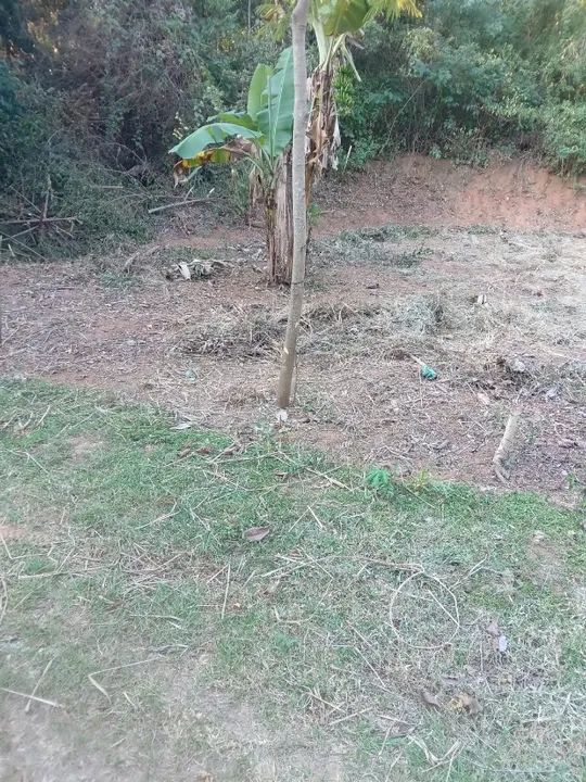 Terreno de 500 m2 em Saquarema - Foto 2