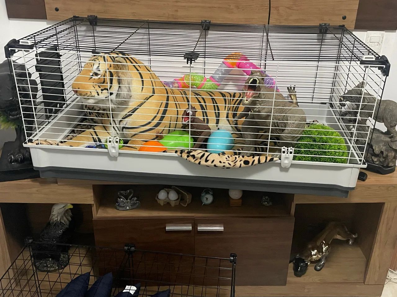 Gaiola Roedor - Foto 2