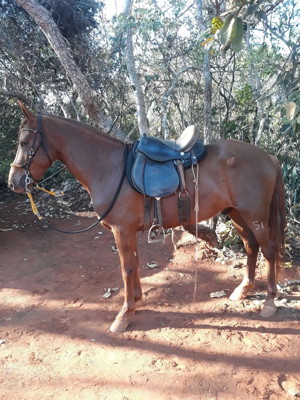 Vende se ou troca. - Foto 4