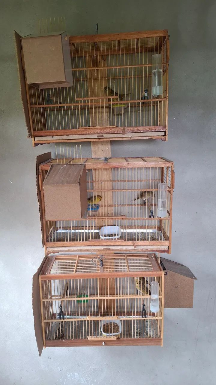 Cages 64313863752066123