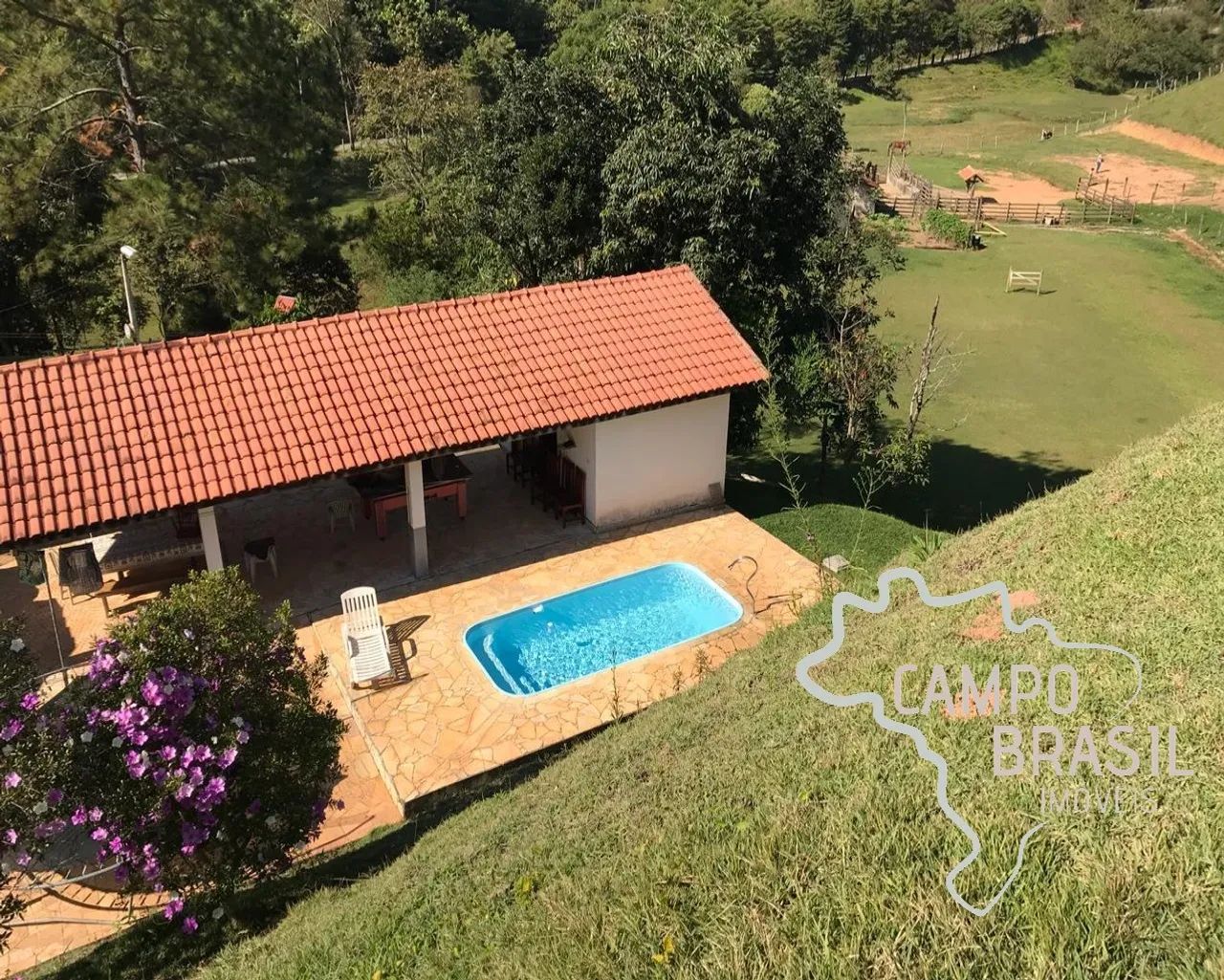 Oportunidade! Sítio formado de 10 alqueires. Estuda permuta! - Foto 5
