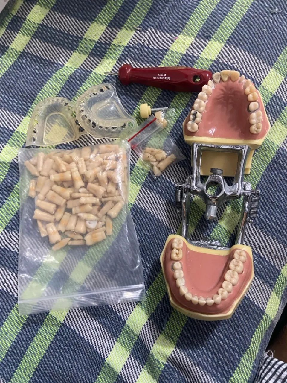 Manequim Odontológico MOM Completo - Foto 2