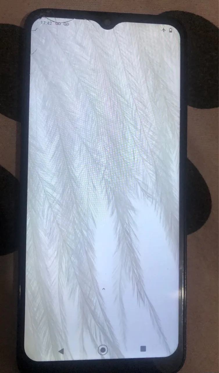 Celular