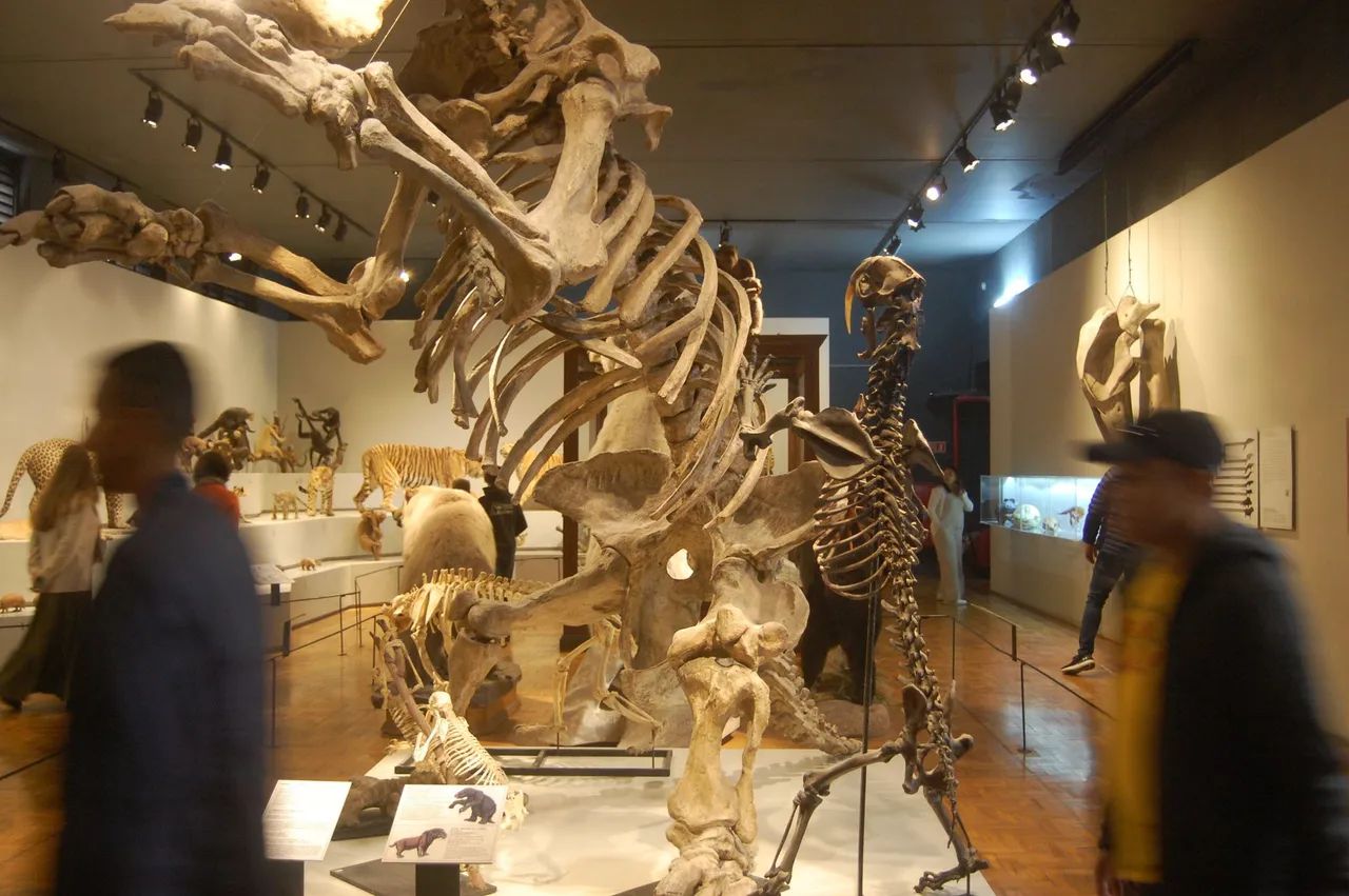 Nikon D40 + Lente 18-55mm - Foto 5