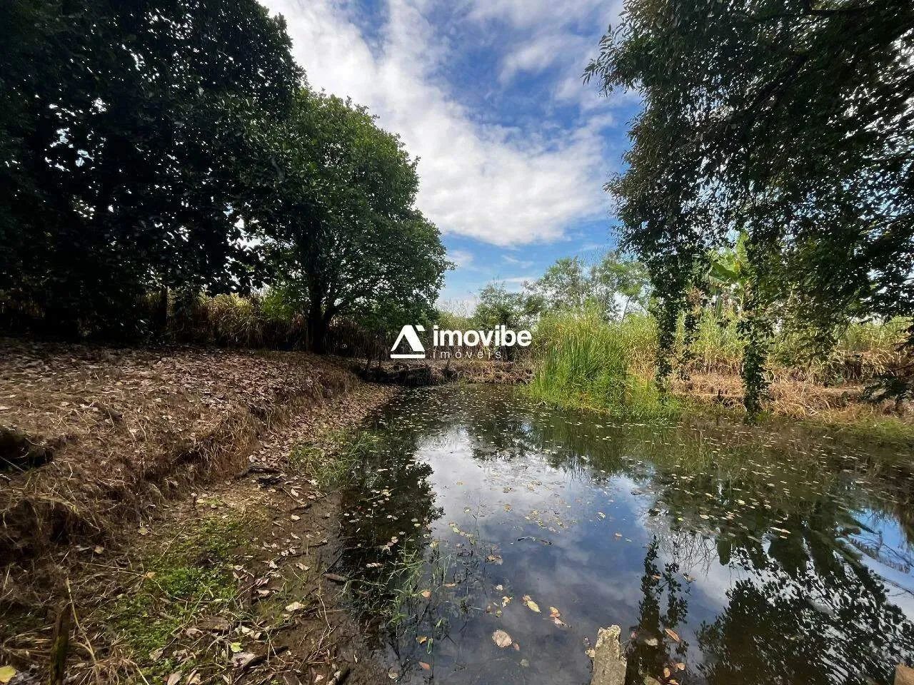 Chácara com 7.000m² com mata natural, casa 3 quartos avarandada, nascente natural - Limeir - Foto 5