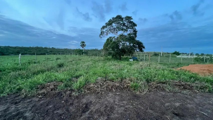 Lote 800 m2 em Retiro de Coração de Maria - Foto 5
