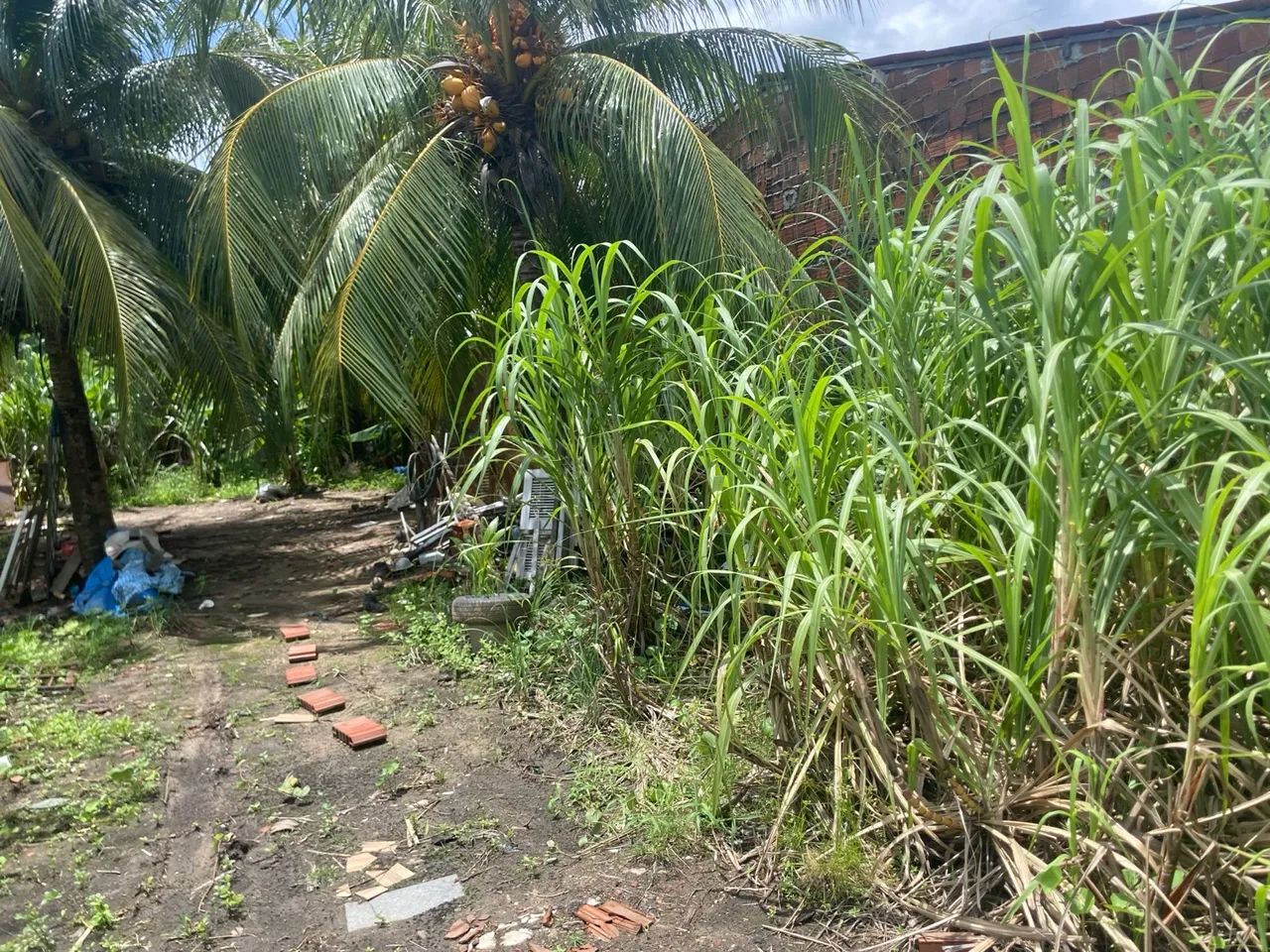 "Oportunidade Imperdível: Terreno à Venda na Granja do Lisboa por R$ 100.000!"