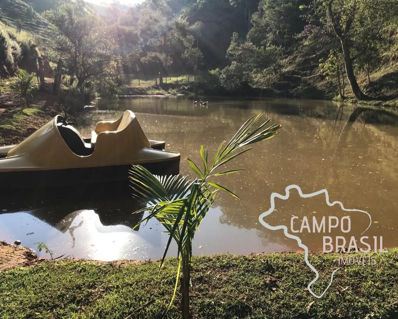 Oportunidade! Sítio formado de 10 alqueires. Estuda permuta! - Foto 3