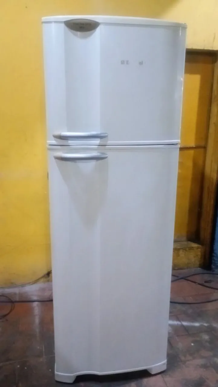 Geladeira Frost Free 2 Portas