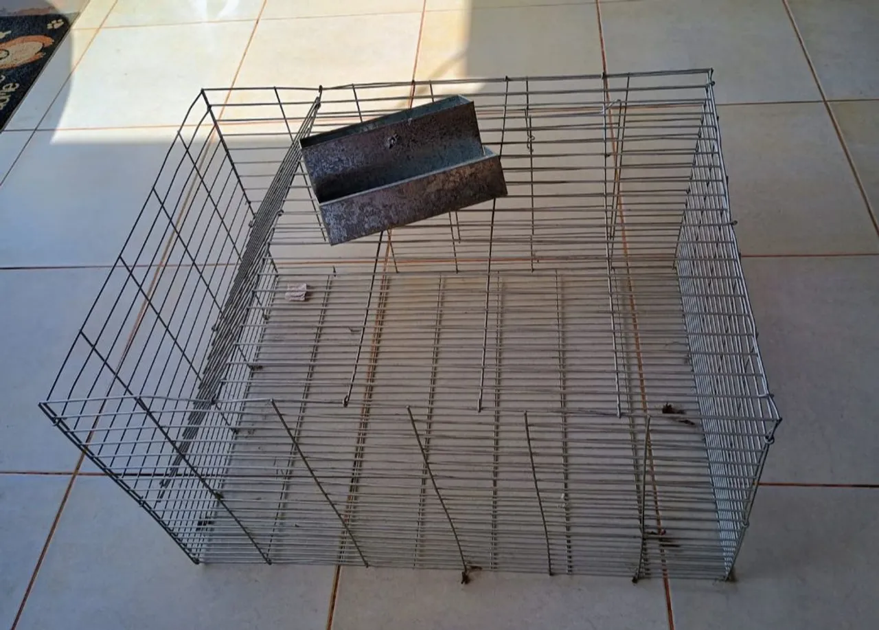 Gaiola Arame Galvanizado com comedouro, valor R$ 150,00.