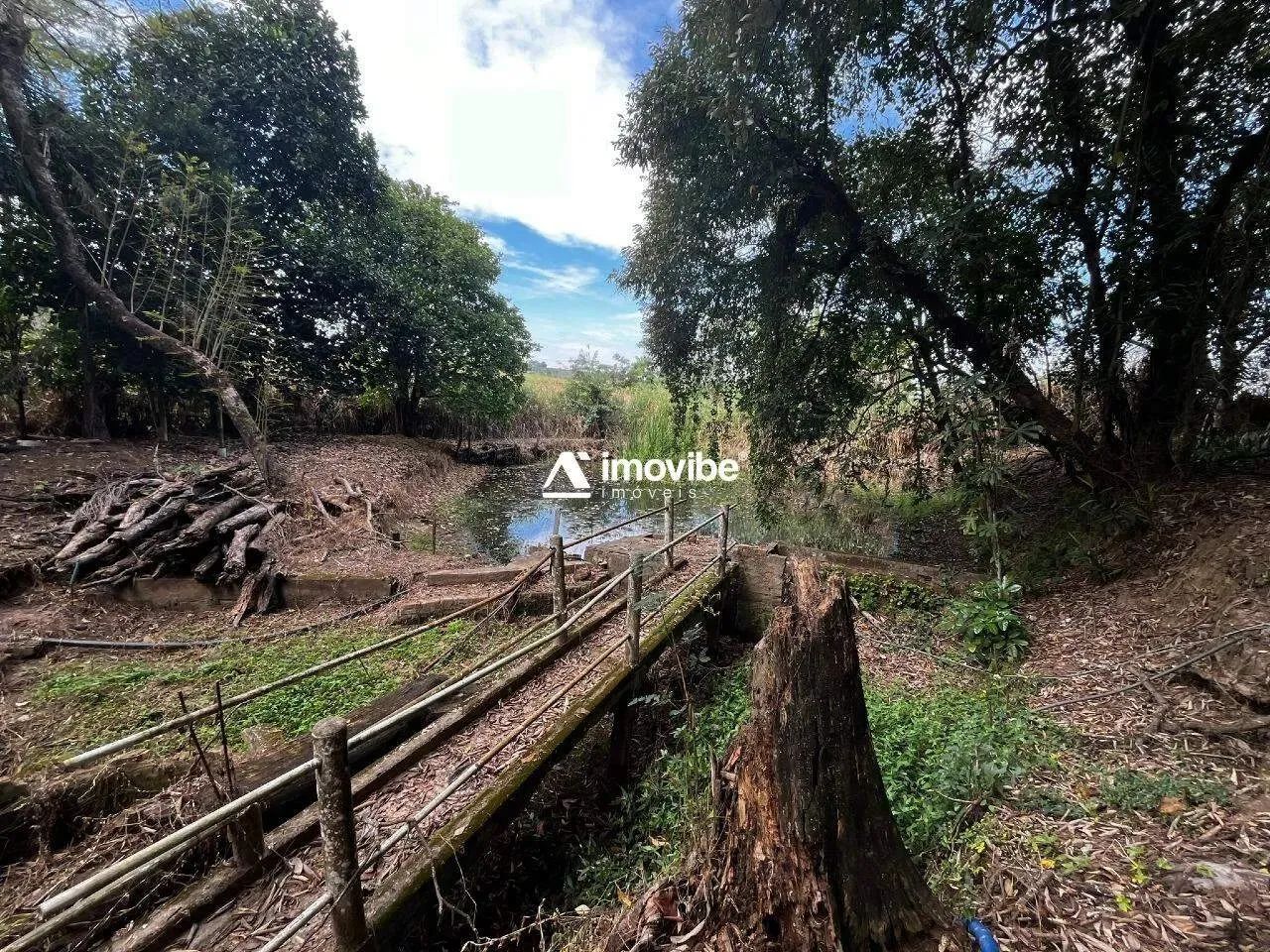 Chácara com 7.000m² com mata natural, casa 3 quartos avarandada, nascente natural - Limeir - Foto 4