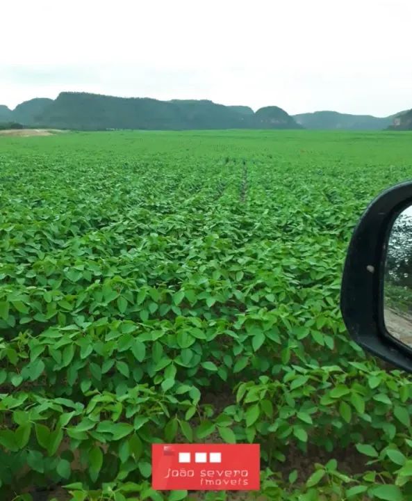 Fazenda para Venda em Balsas - Foto 4