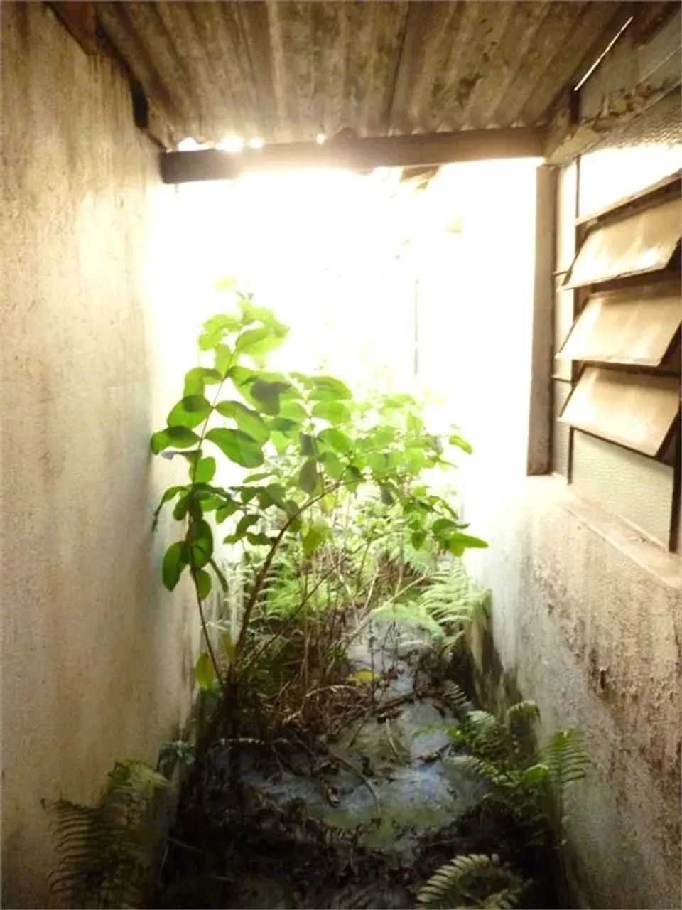 Terreno à venda em Vila maria - SP