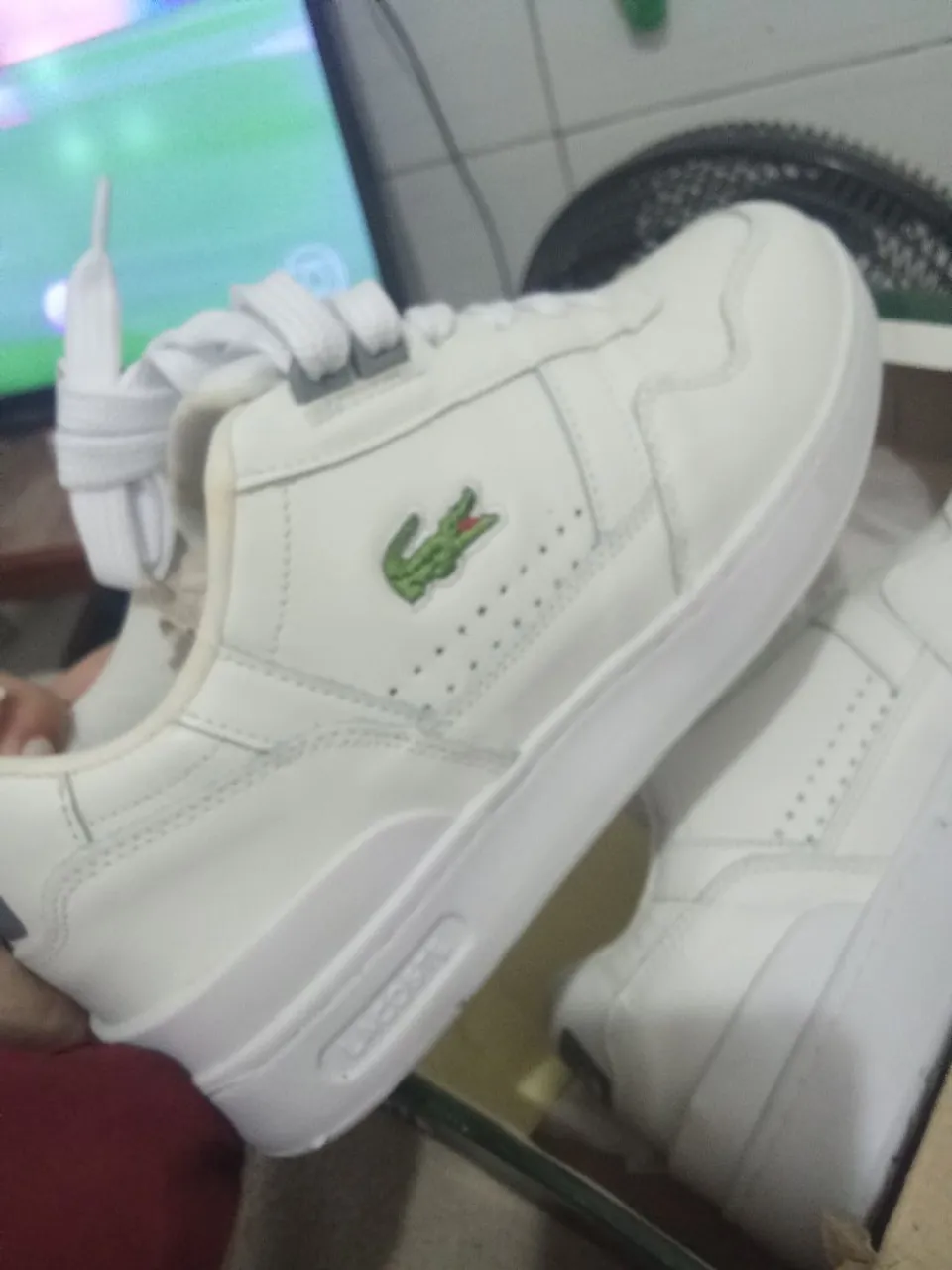 Tênis Lacoste Branco - Novo