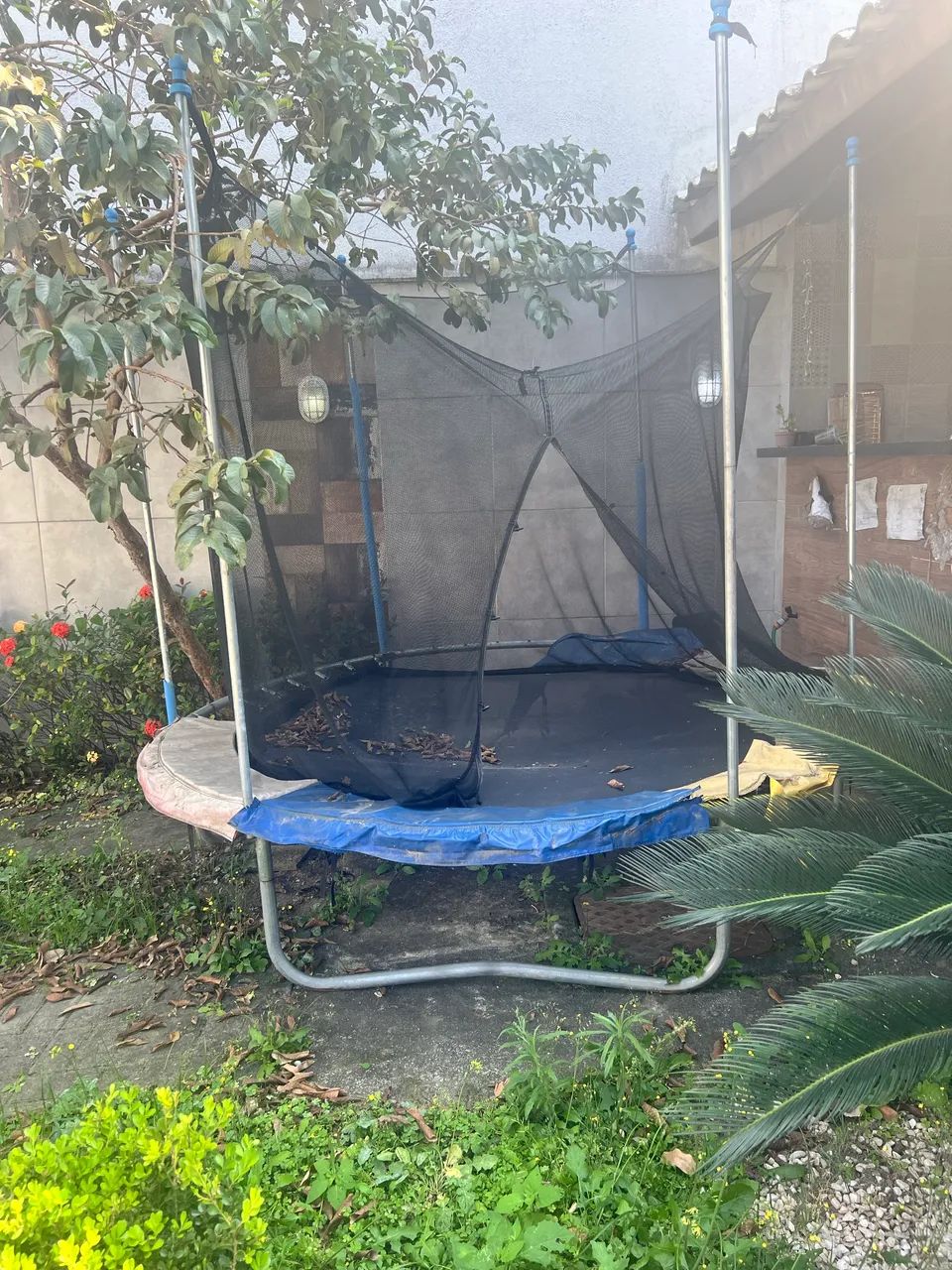 Cama elástica  - Foto 2