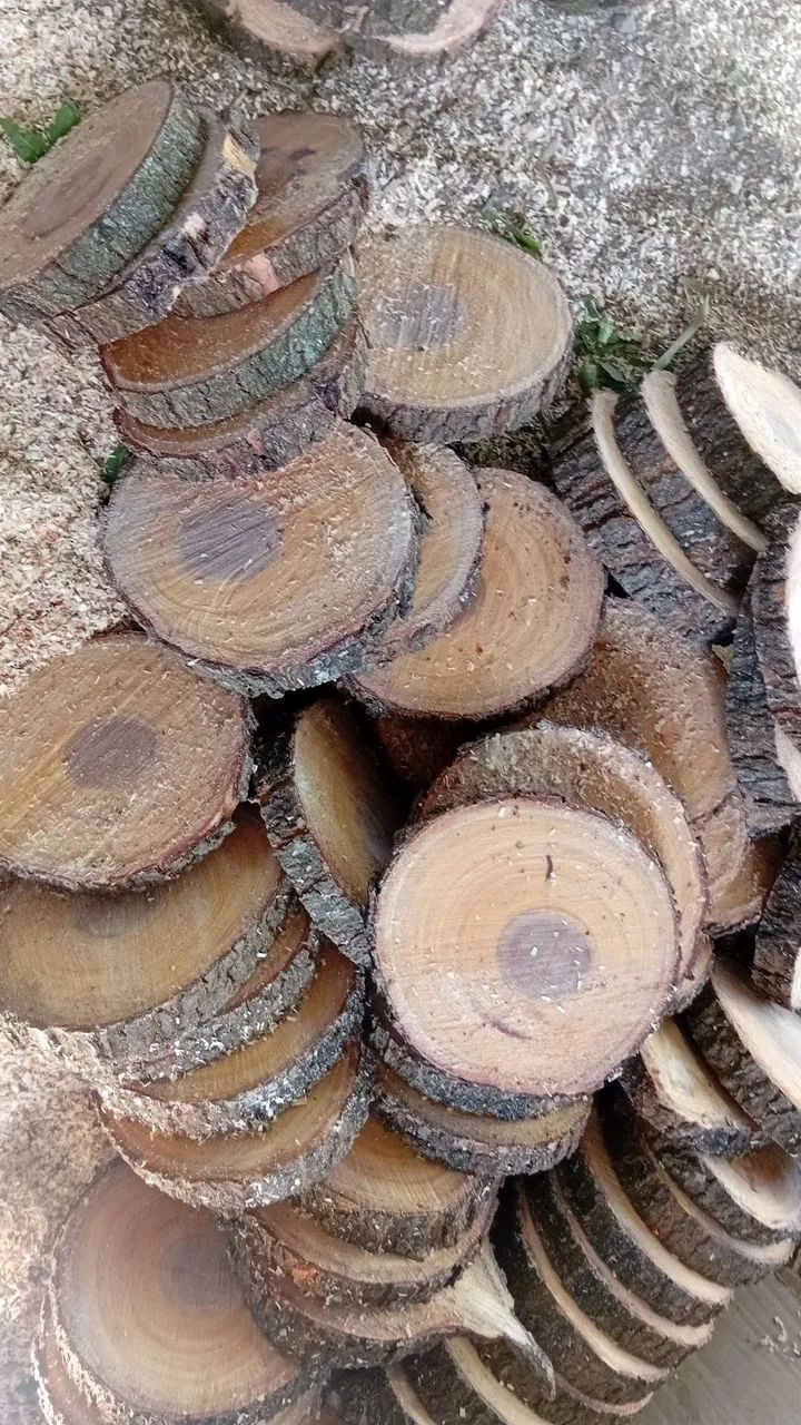 Tabuas de Madeira para Decoração