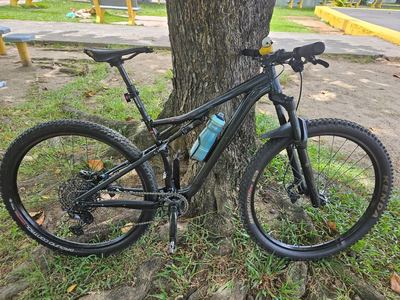 specialized fsr