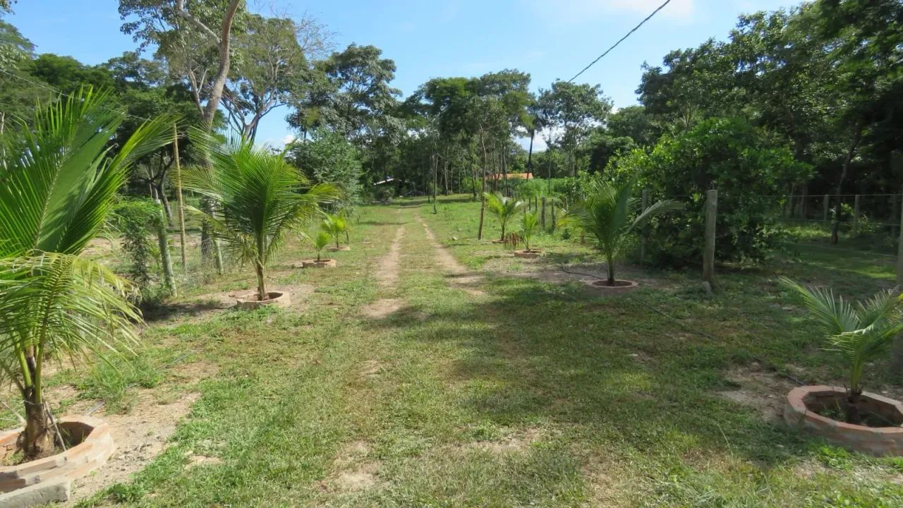 Imóvel para venda com 5000 metros quadrados com 2 quartos em Poção - Cuiabá - MT - Foto 10