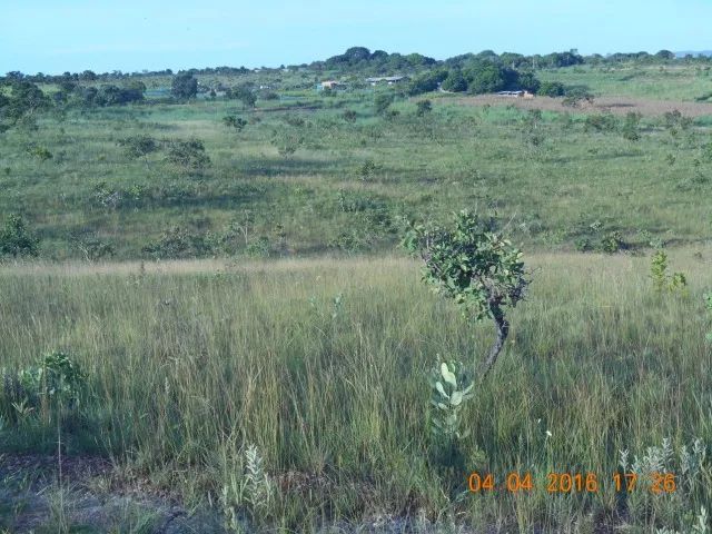 chácaras 5000m² taboquinha aparti R$ 39mil - Foto 3