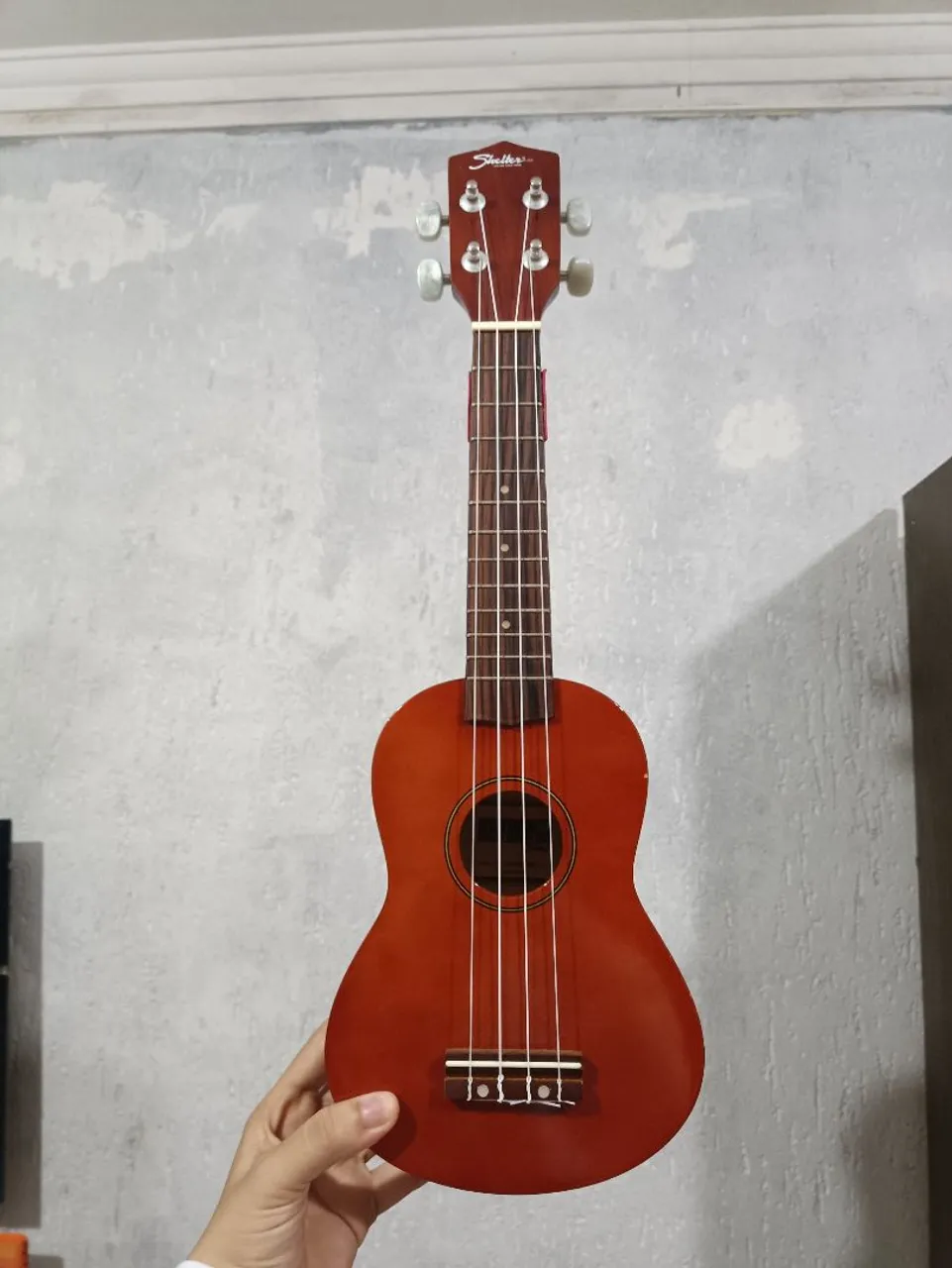 Ukulele Shelter - Instrumento Musical