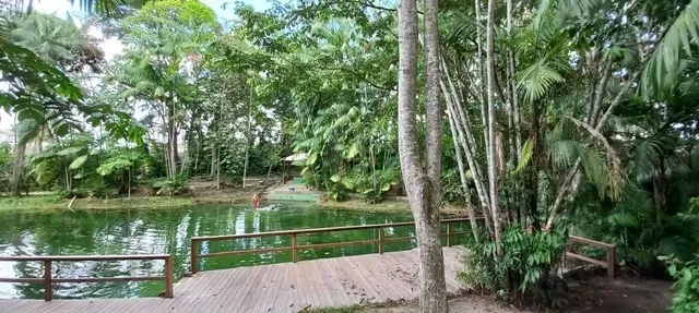 apto, 55m², 2/4, 1 vaga no Ed. José Homobono I