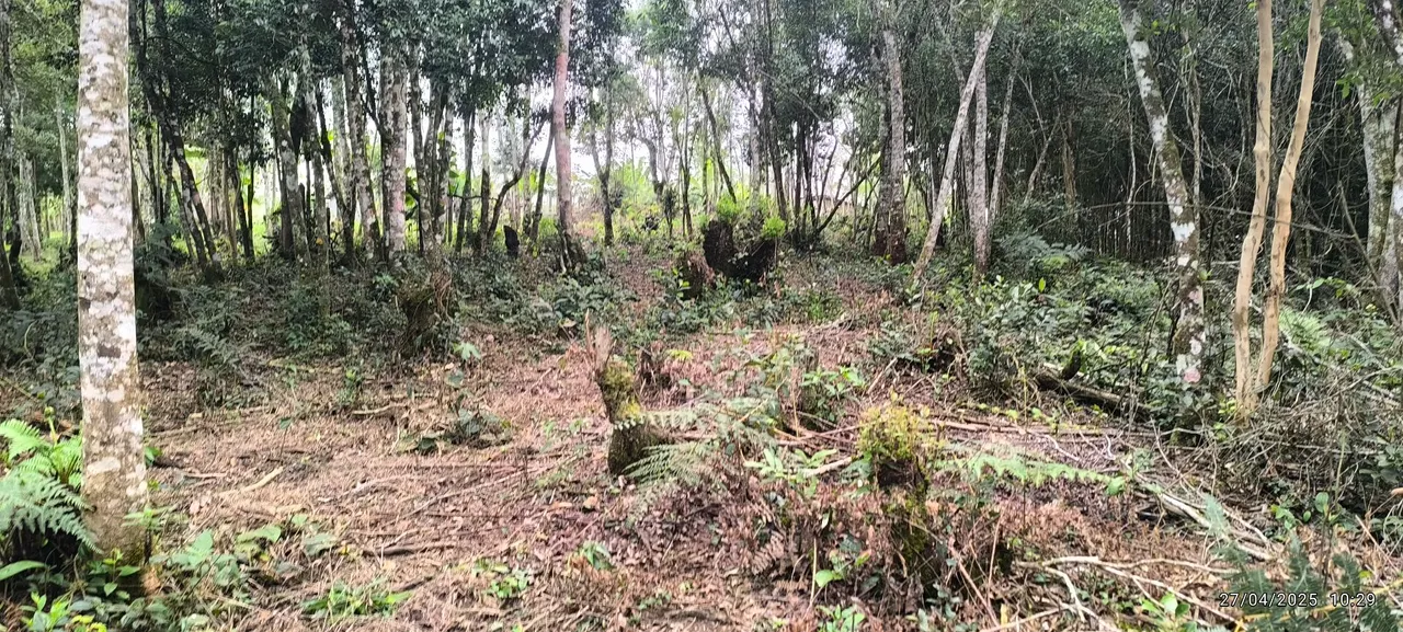 Terreno de 8.000m² à Venda - Área Verde e Localização Privilegiada!