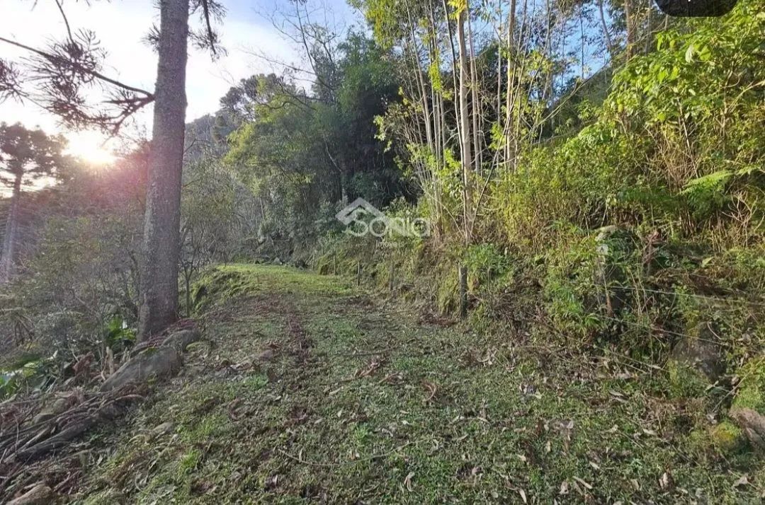 2 hectares com vista privilegiada  - Foto 5