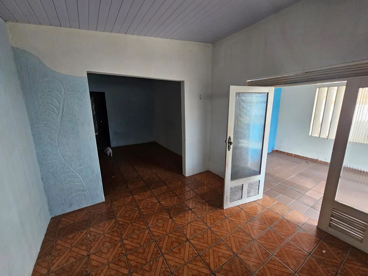 Foto - Natal - Potengi