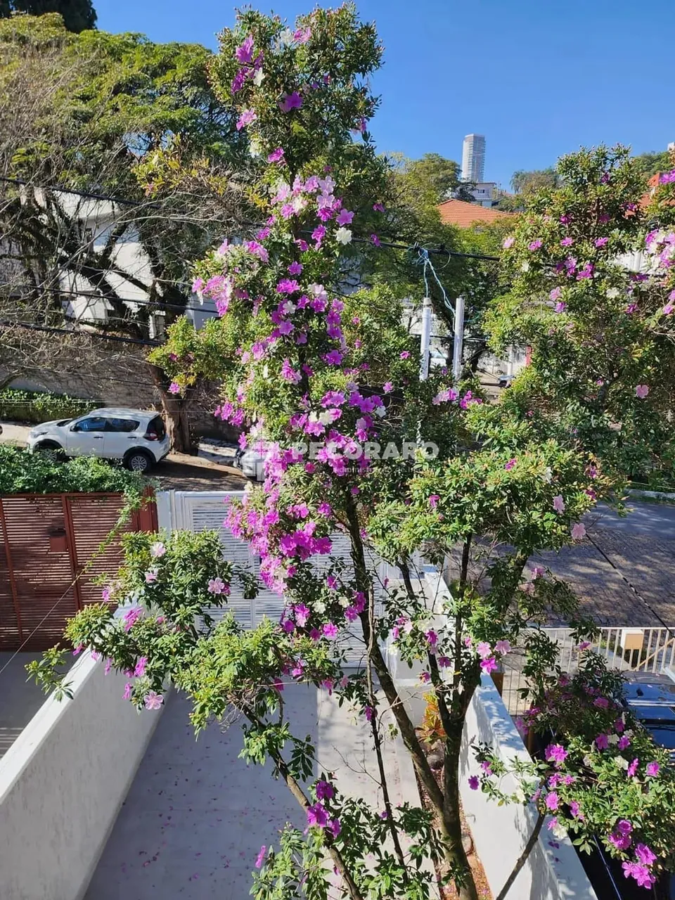 Sobrado para locação, Vila Madalena, São Paulo, SP