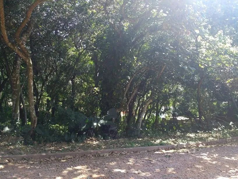 Vila Diva, Vila Diva, Carapicuíba - Foto 3