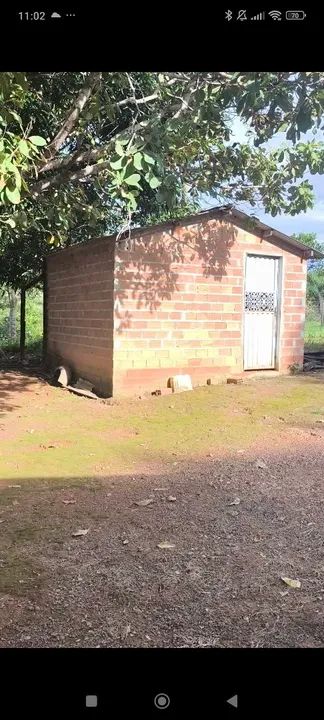 Uma linda Chácara de 7 alqueires Perto de Mundo Novo de Goiás  - Foto 5