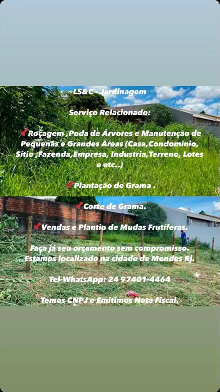 Jardinagem e Paisagismo