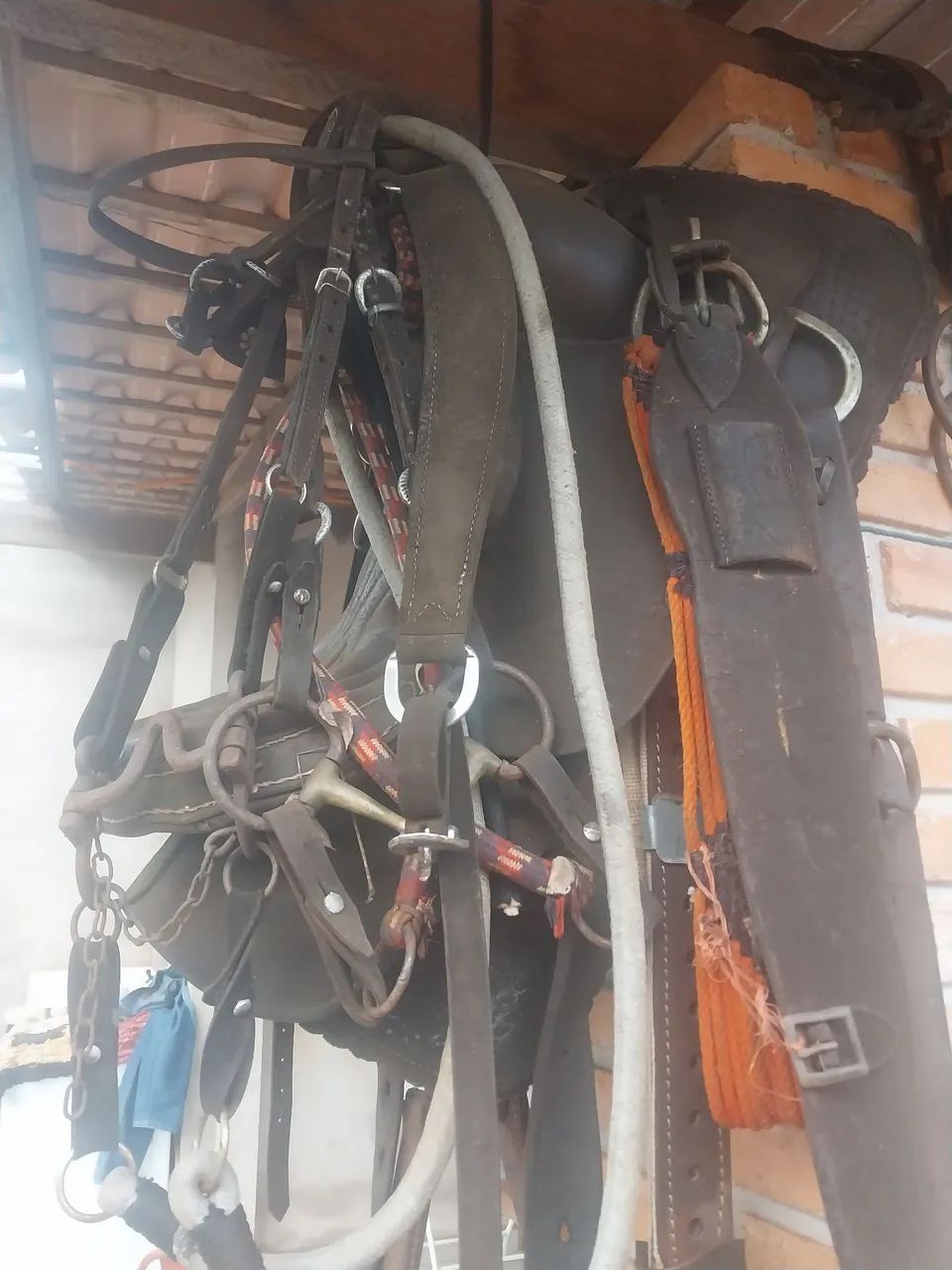 Vendo 2 cavalo e 1 sela  - Foto 2