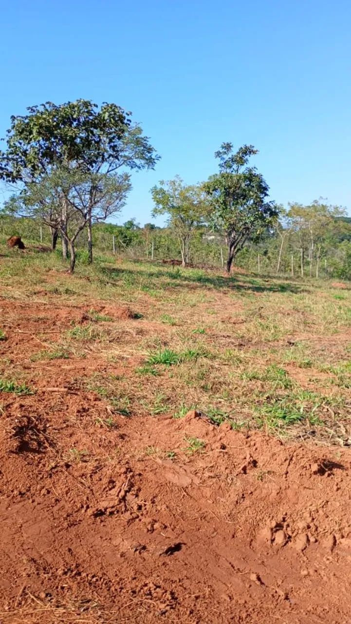 Chacaras rurais em mateus leme  - Foto 5