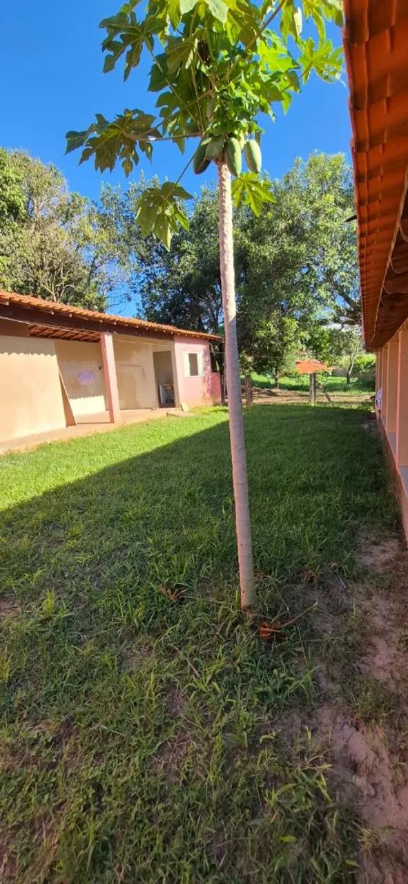 Vendo Chácara haras rancho.  - Foto 3