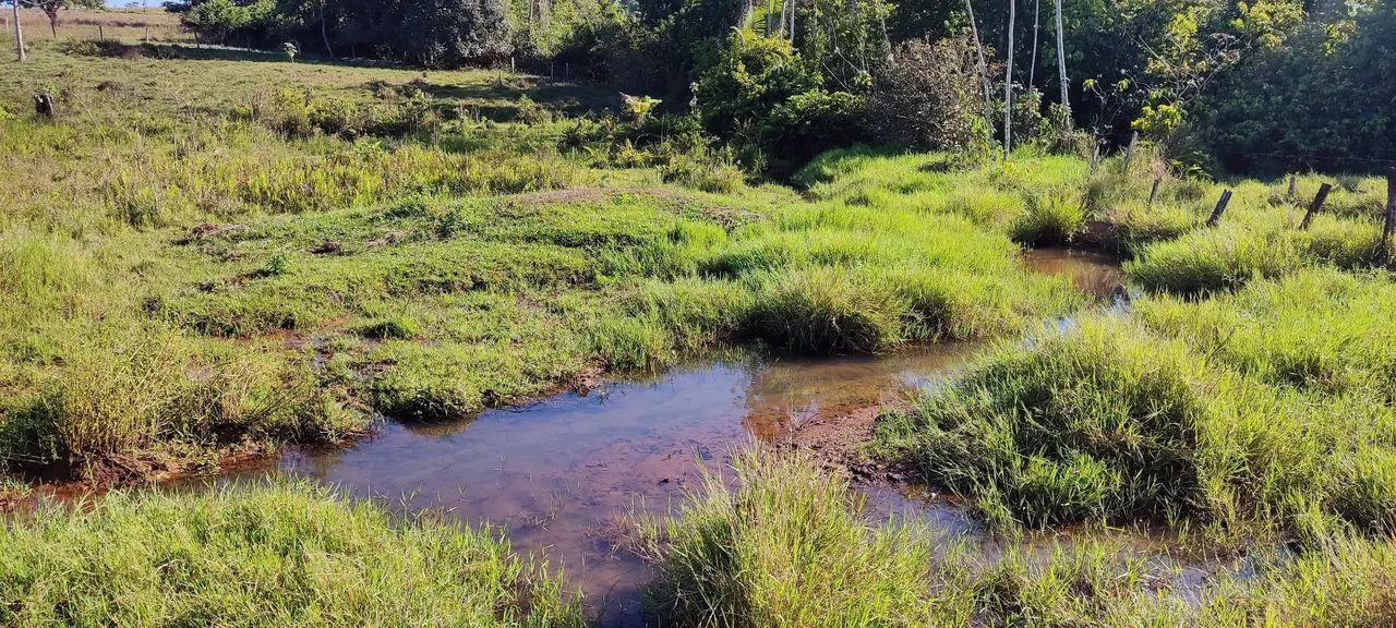 chácara Cacoal linha 10  - Foto 5