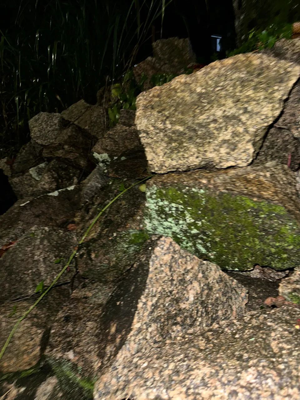 Pedra - Foto 3