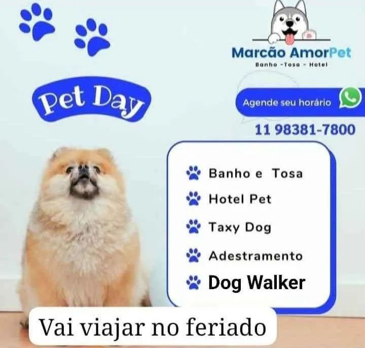 Banho e tosa  - Foto 3