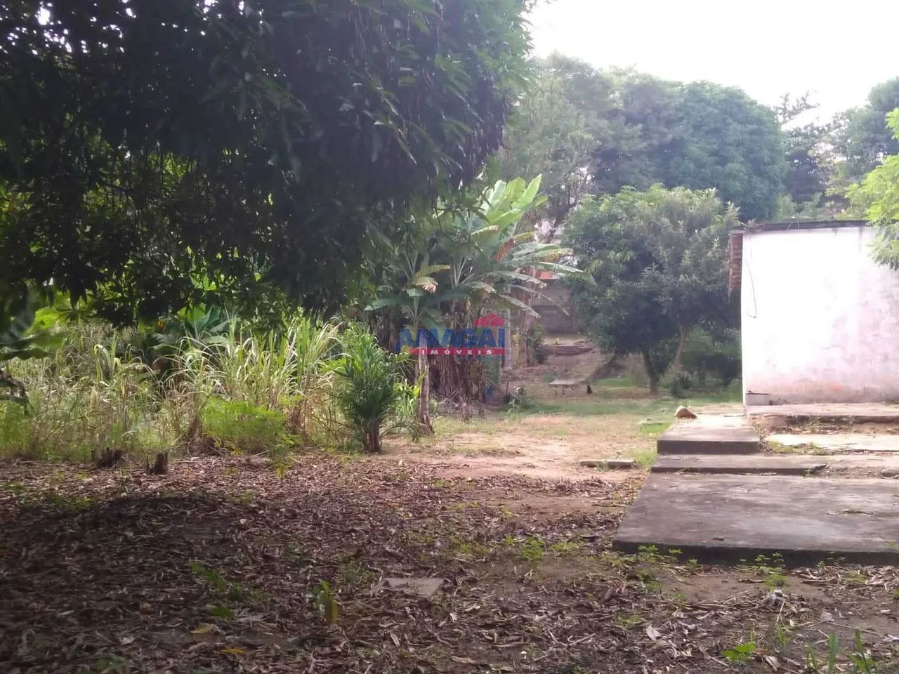 Terreno com 2.555 m2 de área