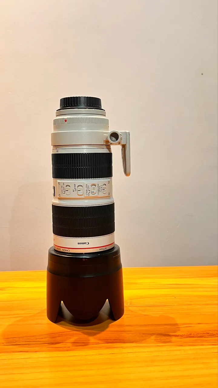 canon 70 200mm