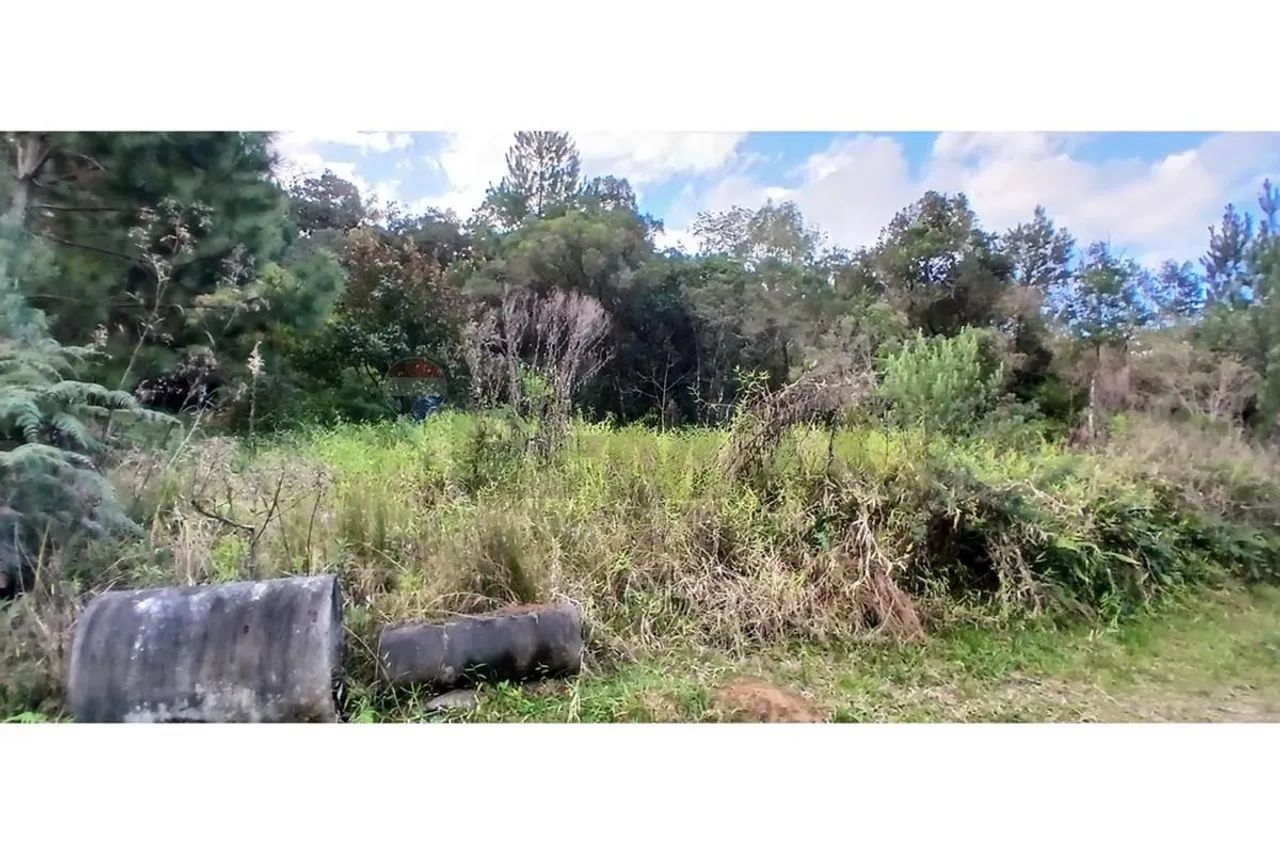 TERRENO A VENDA EM SAO PEDRO DE ALCÂNTARA - Foto 4