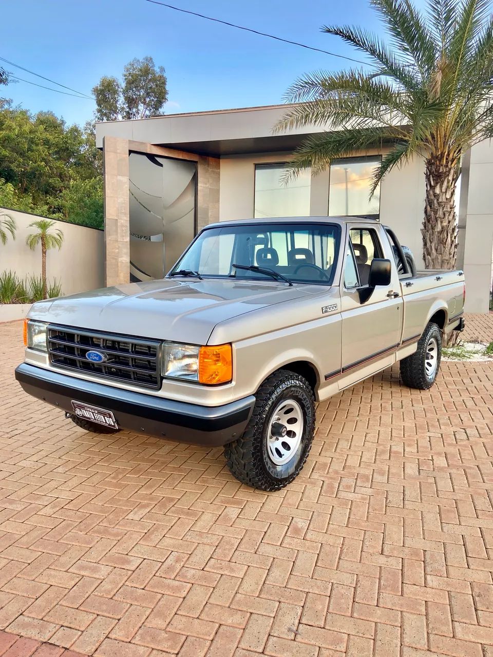 Ford F-1000 1995