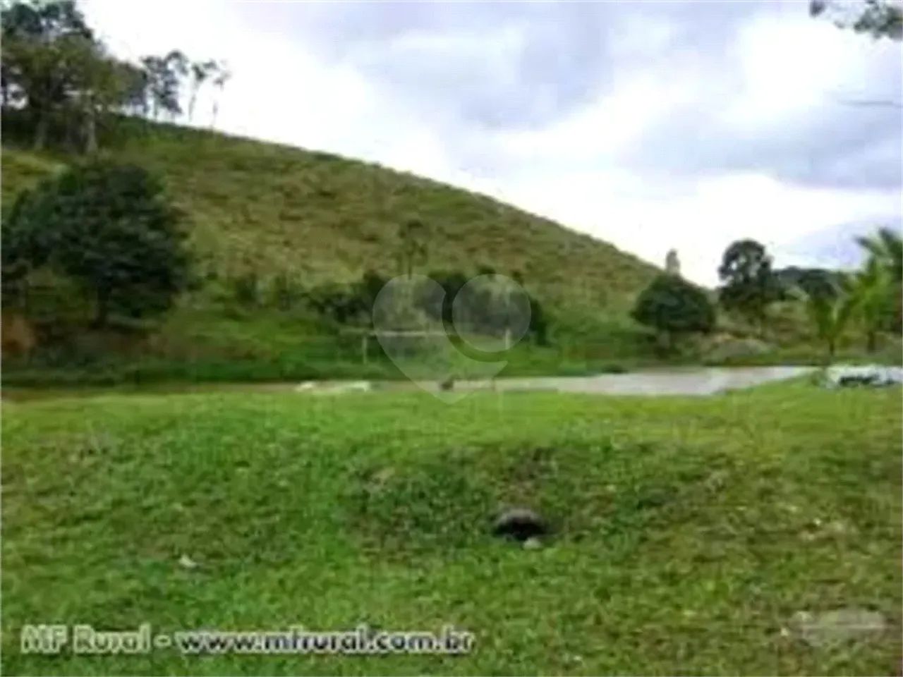 Fazenda à venda em Centro - SP - Foto 3